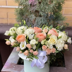 Blumenbox 'Karamell-Umarmungen'