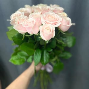 Bouquet of pale pink roses
