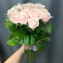 Bouquet of pale pink roses