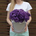 Arrangement 'Moonlight Sonata'