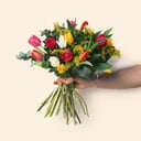 Bouquet Twilight tulips