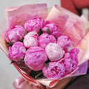 11 peonies mix