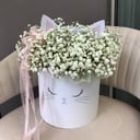 Blumenbox 'Gypsophila in einer Kiste'