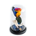 Forever Rose Multicolor M