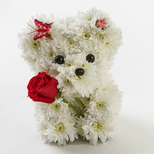 Arrangement 'Bear Mischa'