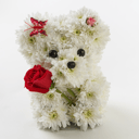 Arrangement 'Bear Mischa'