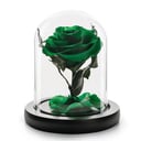 Arrangement 'Glass Dome Vase With Single rose Green'