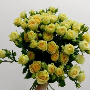 Bouquet of 11 yellow spray roses