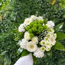 Blumenstrauß 'Locatelli Bouquet'