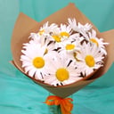 Bouquet of 11 daisies