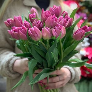 Blumenstrauß 'Compliment with tulips'