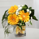 Arrangement 'Fantasia: Gerberas and Chrysanthemums'