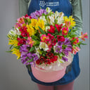 Blumenbox 'A big dream'