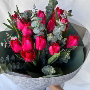 Bouquet of Tulips Fuchsia