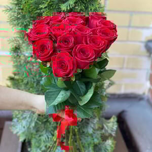 Ramo 'Focus of heat'