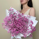 Blumenstrauß 'Gypsophila rosa Wolke 5'