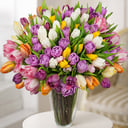 Ramo 'A bouquet of 101 tulips'