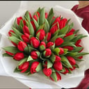 Blumenstrauß aus roten Tulpen