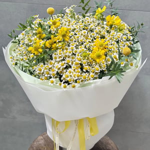 Chamomile Daisy Cloud Bouquet
