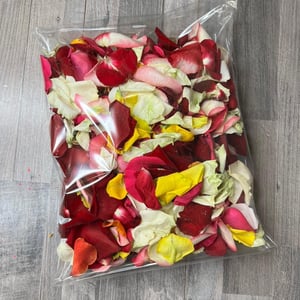 Rose petals multicolored