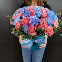 Blumenbox 'Schachtel mit Nelke "Magic"'