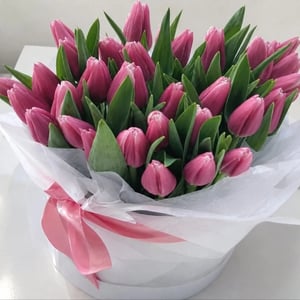 Box de Tulipanes