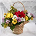 Regards: Gerberas and Chrysanthemums