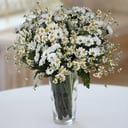 Bouquet '18 Daisies'