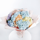 Bright symphony of hydrangeas