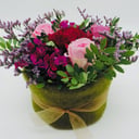 All the best, foam cake