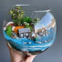 Florarium with houses