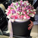 Blumenbox '101 tulips in a box'