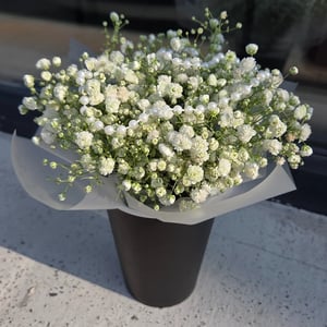 Blumenbox 'Kleine Gypsophila-Vase'