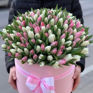 Flower box '250 tulips'