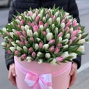 Blumenbox '250 tulips'