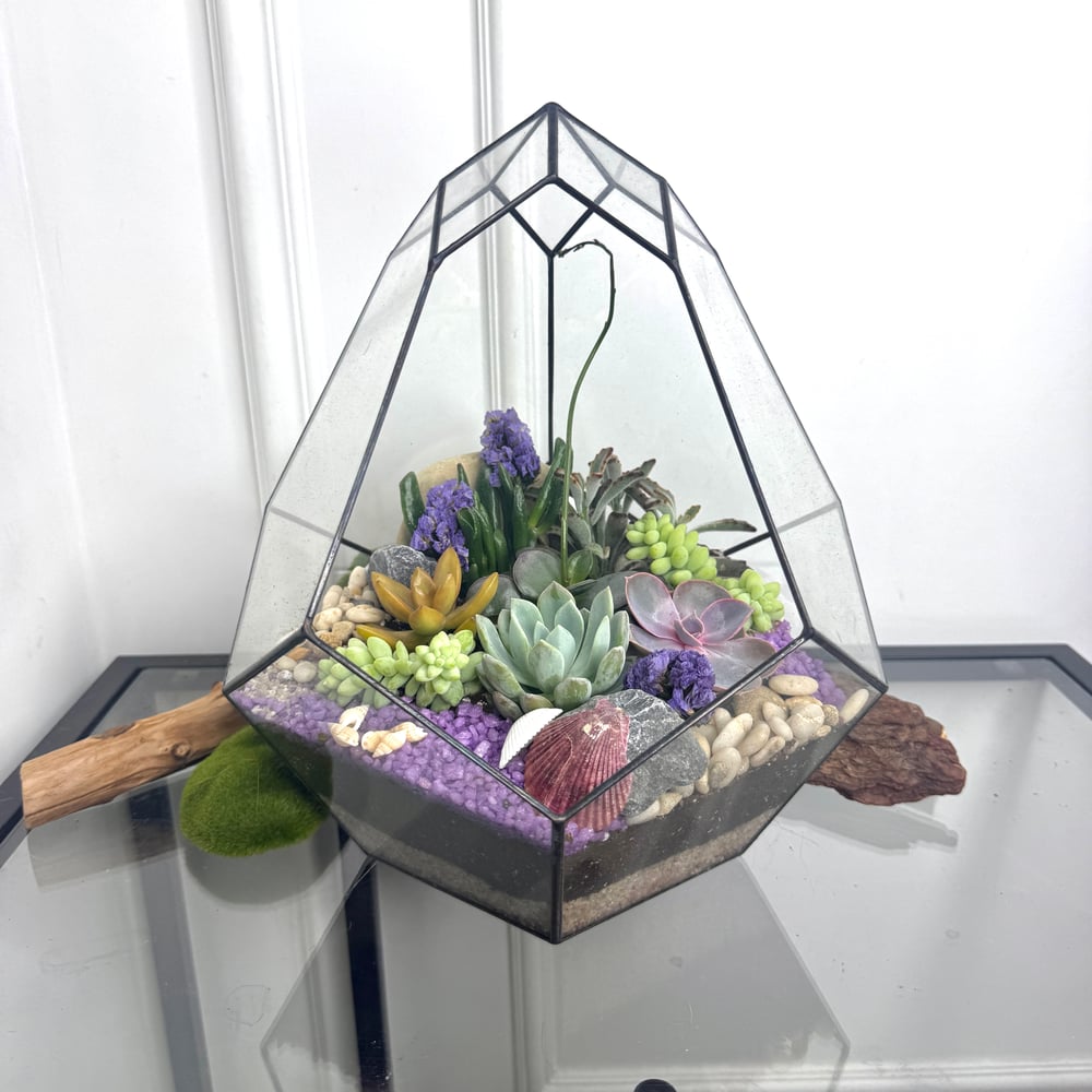 Floroom Florarium
