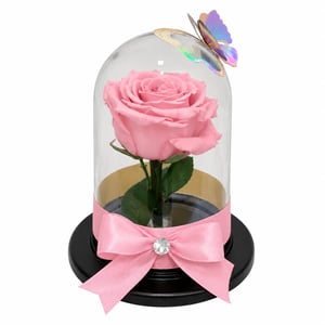 Eine ewige rosa Rose in einer Mini-Kuppel