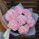 Delicate bouquet of pink hydrangea Verdan