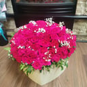 Blumenbox 'Ich liebe dich'