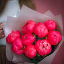 Blumenstrauß 'Mono peonies'