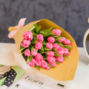 Bouquet of Pink Tulips