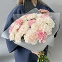 Bouquet of 25 carnations