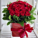 20 Red Stars in vase arrangement