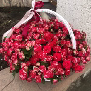 51 rose de brousse dans un panier