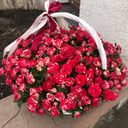 51 rosa de arbusto en una cesta