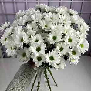 Ramo 'Bouquet of 5 chrysanthemums'