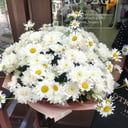 Blumenstrauß 'Sunny morning'