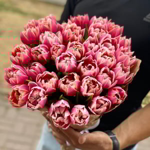 Bouquet of 35 pink tulips