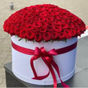 Blumen in einer Kiste