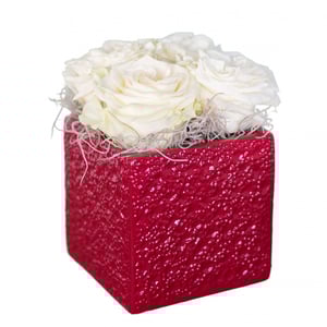 Arrangement 'White Roses Cube'